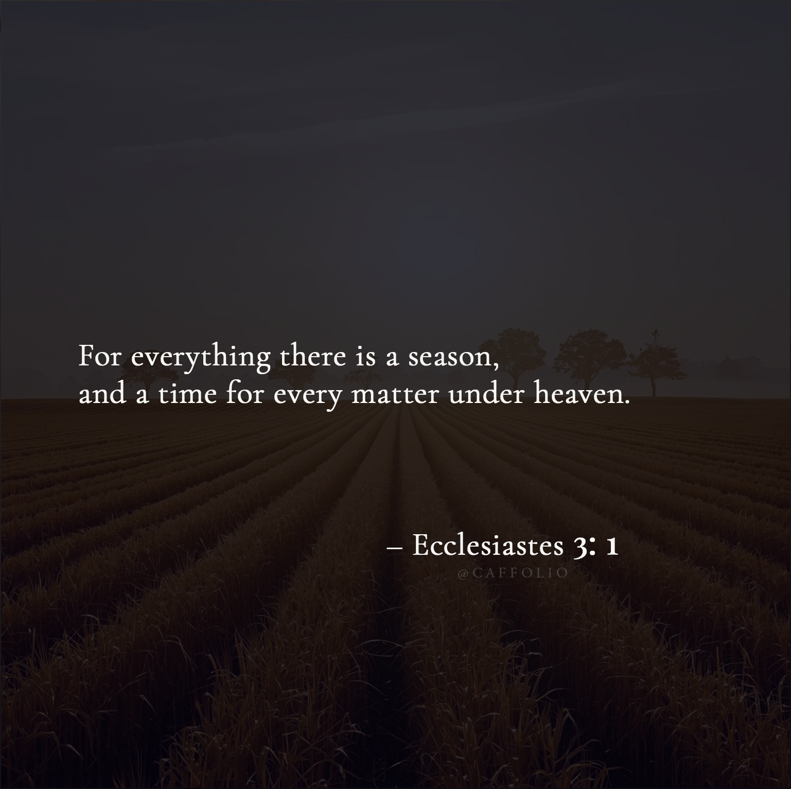 The Business Identity & Audience Mapping Guide